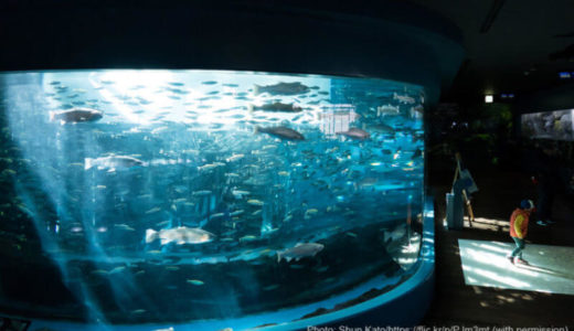 山梨「森の中の水族館。富士湧水の里水族館」の料金・営業時間・アクセス・見どころ